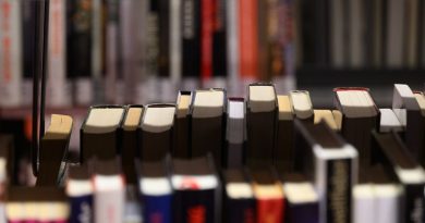 Städtetag fordert Sonntagsöffnung von Bibliotheken