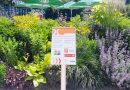 Komm ins #teamtorffrei! Jeder Blumentopf zählt!FNR und HOT informieren auf den Landesgartenschauen Furth im Wald und Tal X zum torffreien Gärtnern