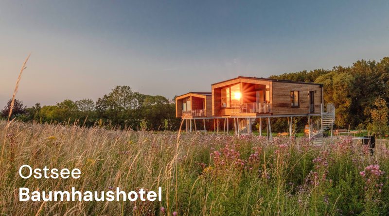 Ostsee Baumhaushotel schließt Ausbau ab: 14 Baumhäuser auf Höhe der Baumkronen starten in erste volle Saison 2026