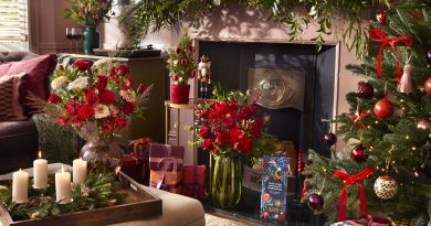 Blühende Last-Minute-Geschenke von Bloom & Wild, die auch über Weihnachten hinaus Freude machen – Zum Wunschtermin bis Heiligabend versendet