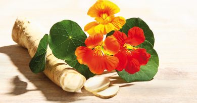 Europäische Antibiotikawoche – Bewusstsein schaffen – Resistenzen entschärfen – Alternativen finden