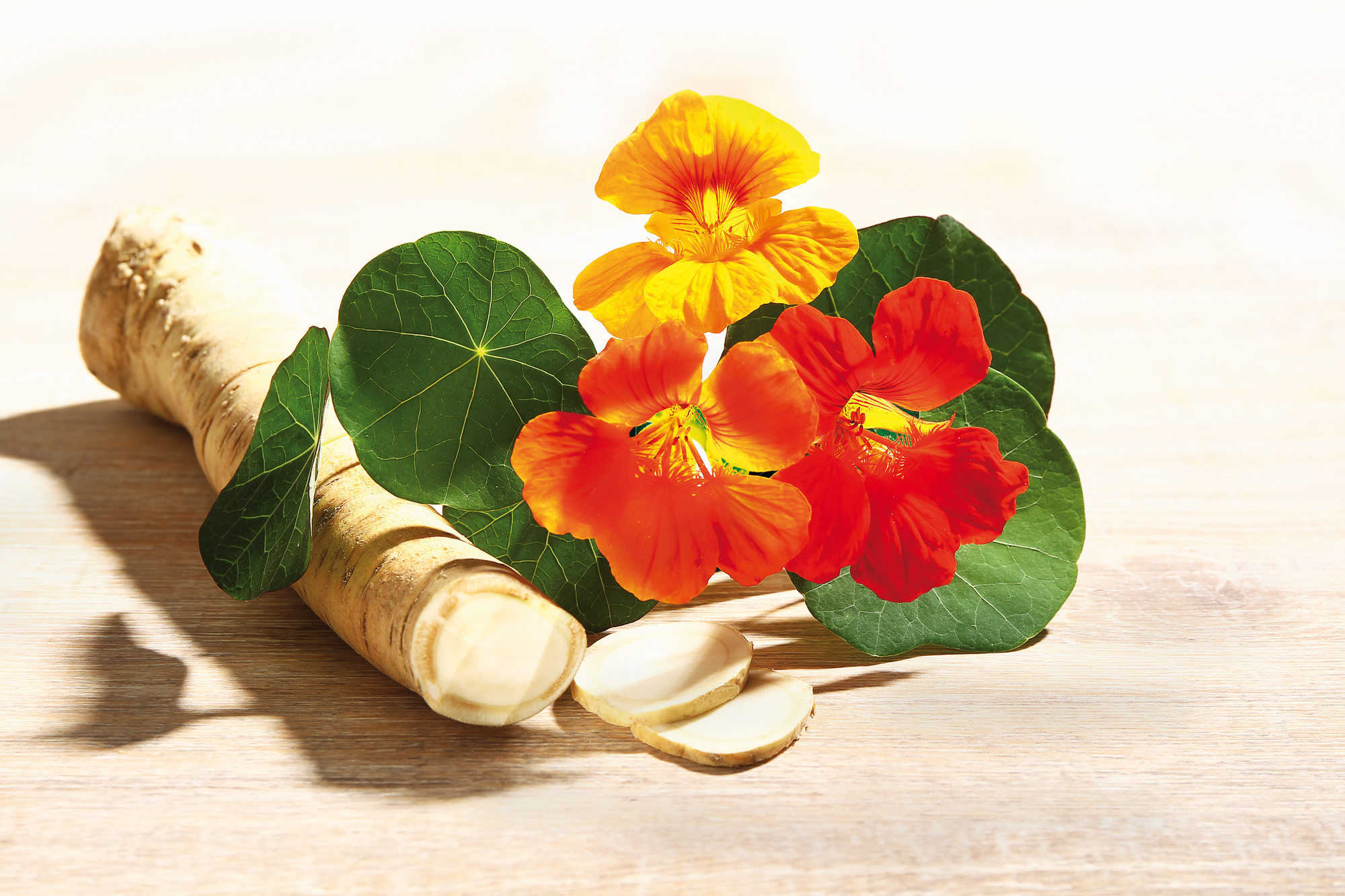 Europäische Antibiotikawoche – Bewusstsein schaffen – Resistenzen entschärfen – Alternativen finden